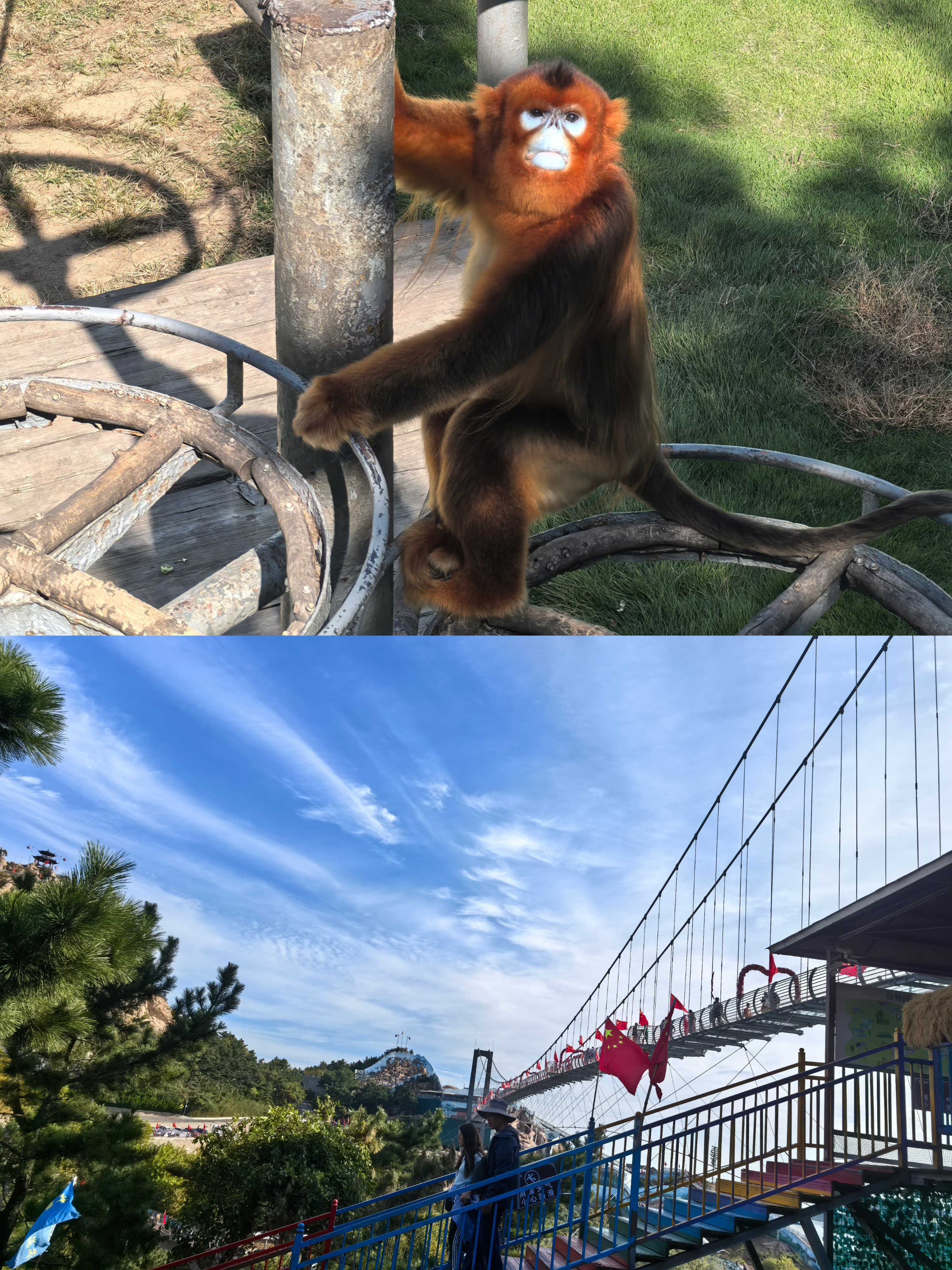 AG��˾(�й�����)�����޹�˾����