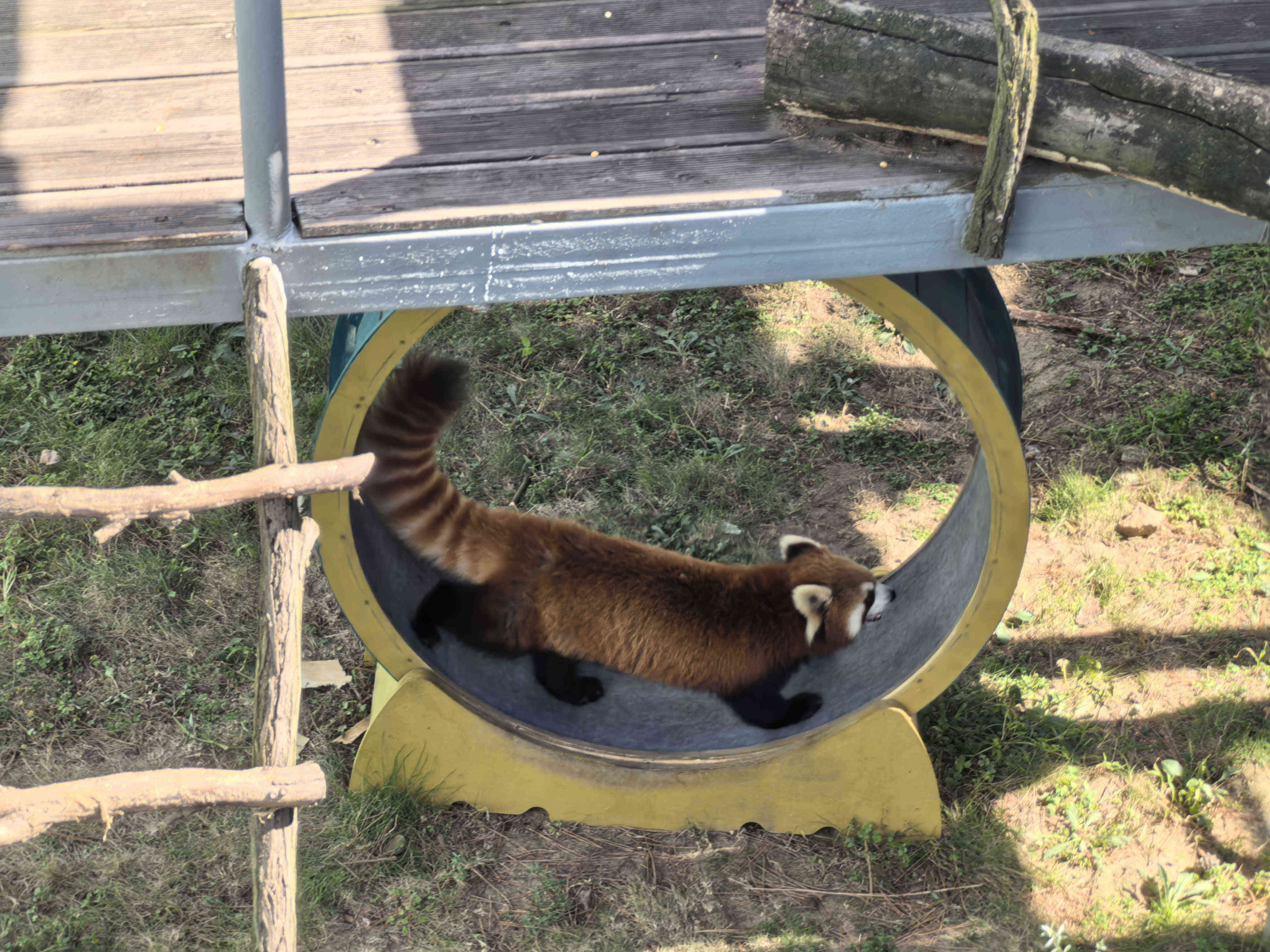 AG��˾(�й�����)�����޹�˾����