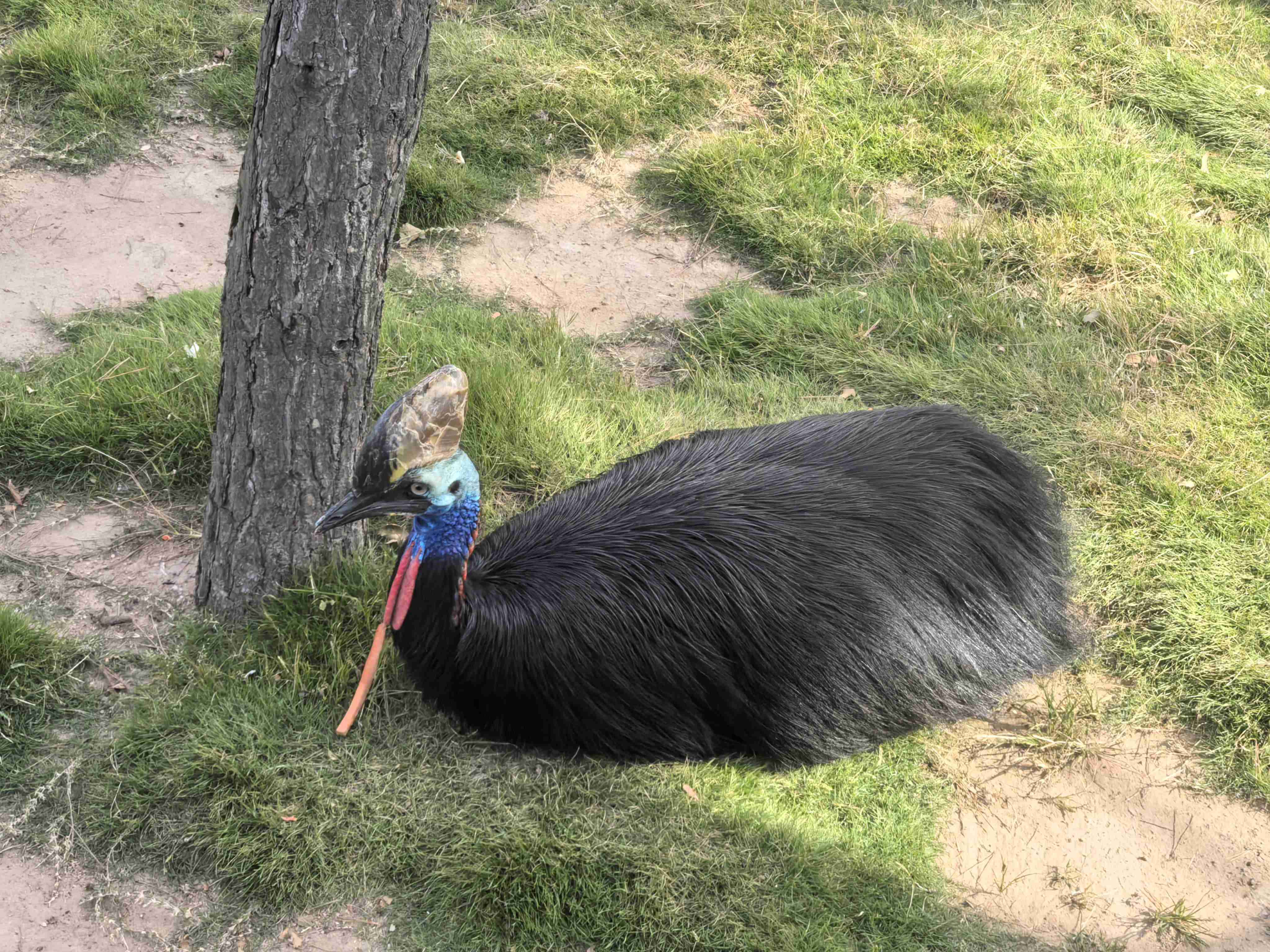 AG��˾(�й�����)�����޹�˾����